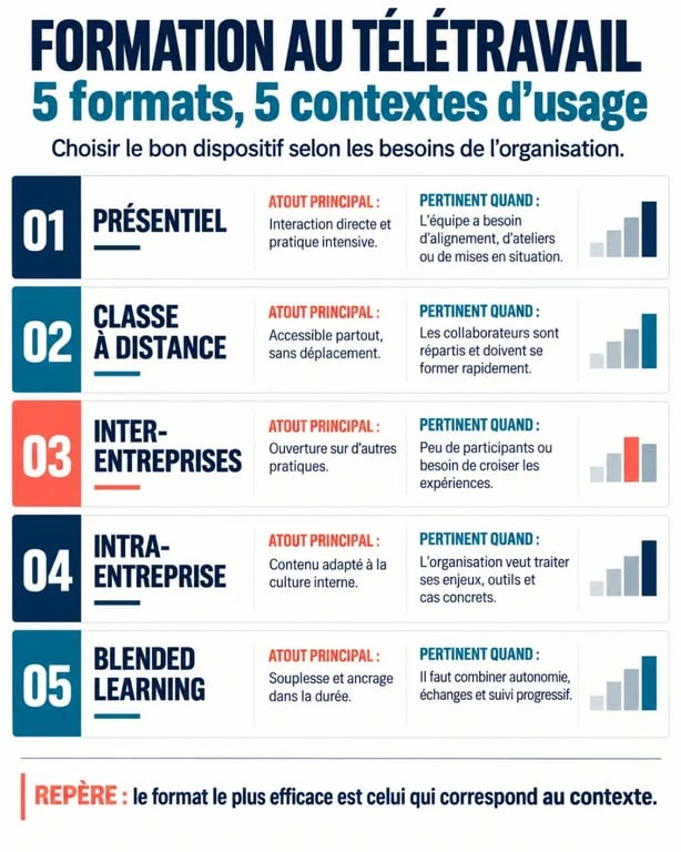 Infographie des formats de formation télétravail présentiel distanciel inter intra et blended